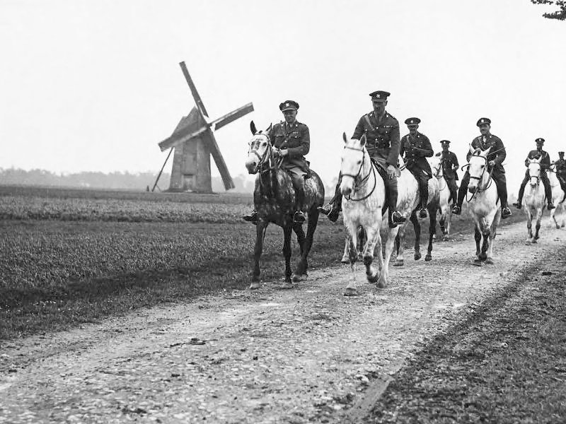 Cavalos na Primeira Guerra Mundial