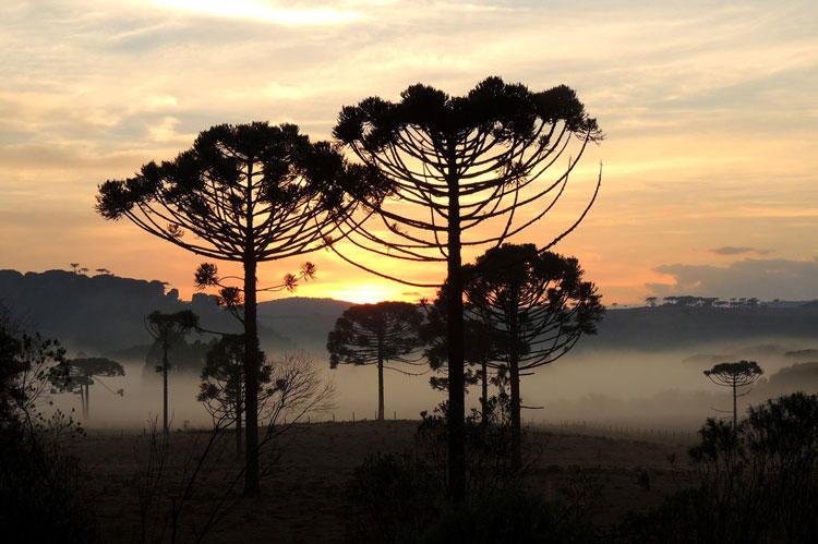 História Ambiental