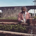 Idosa planta sementes em horta do Lar dos Velhinhos Bezerra de Menezes.