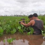 Filmes sobre direitos humanos poderão ser utilizados para diversos fins