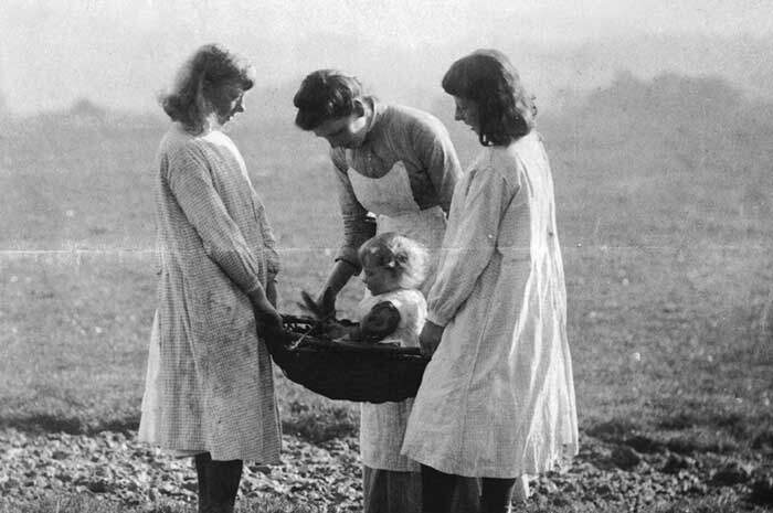 Três mulheres e um bebê durante a Primeira Guerra Mundial.