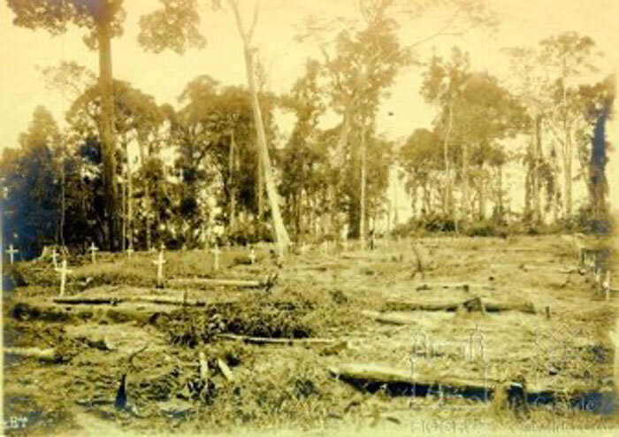 Modernização arriscada: doenças, epidemias e ciência em meio ao avanço do homem sobre a floresta 2
