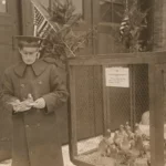 Heróis desconhecidos da Primeira Guerra Mundial: os pombos-correios 3