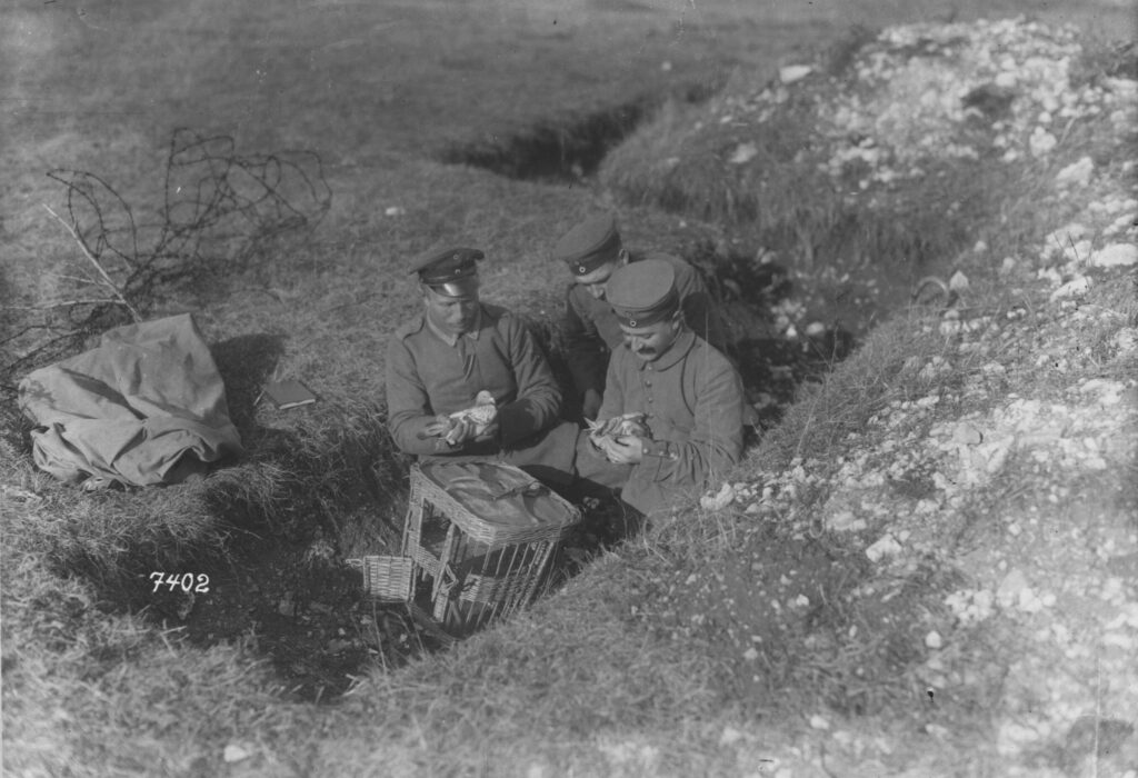 Heróis desconhecidos da Primeira Guerra Mundial: os pombos-correios 2