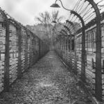 Um evento incomparável? A questão da singularidade do Holocausto e a assimilação do passado 3