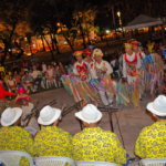 Festa popular é tema de pesquisa histórica em universidade pernambucana 1